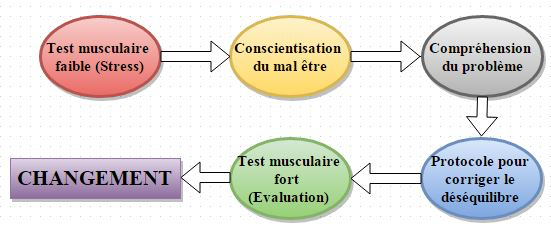 deroulement seance